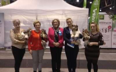 ExpoSilesia-DogShow (CWC) w Będzinie
